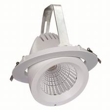 LED Tronco Luces