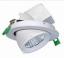 LED Tronco Luces